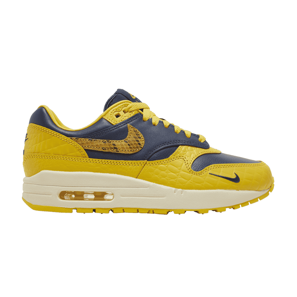 Air Max 1 CO.JP Michigan Head to Head