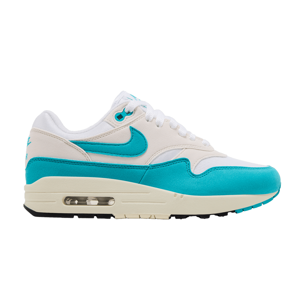 Nike Wmns Air Max 1 Dusty Cactus