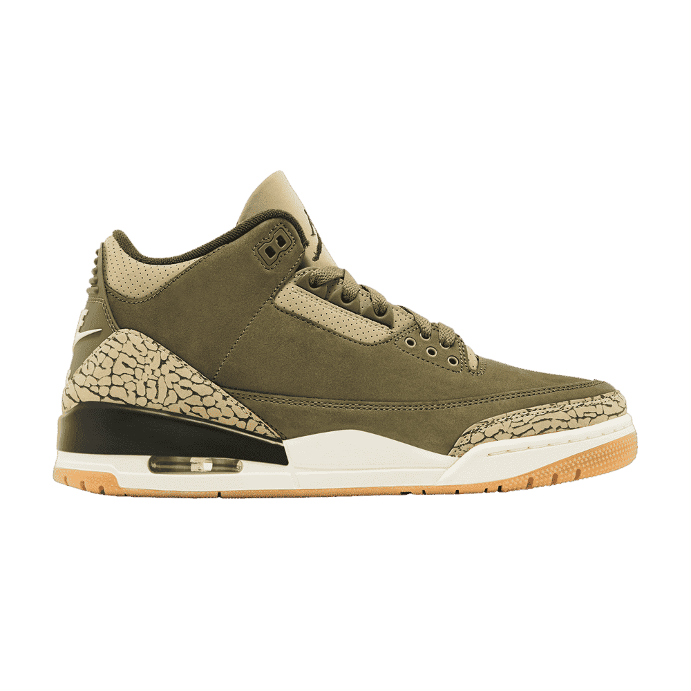 Air Jordan 3 Retro Family Affair