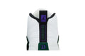 Air Jordan 12 Retro TD Bucks - Air Jordan Sneaker, Detailansicht 9