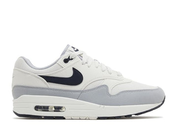 Air Max 1 Platinum Tint Dark Obsidian - House-of-Sneakers