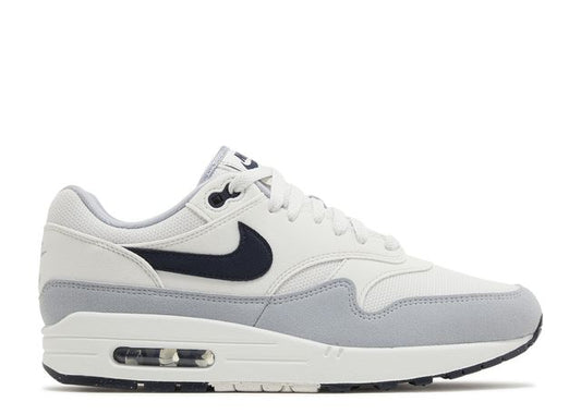 Air Max 1 Platinum Tint Dark Obsidian