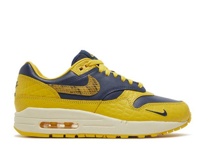 Air Max 1 CO.JP Michigan Head to Head