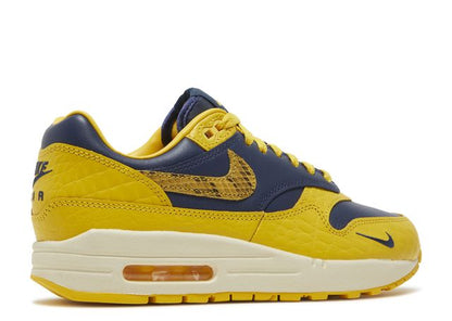 Air Max 1 CO.JP Michigan Head to Head