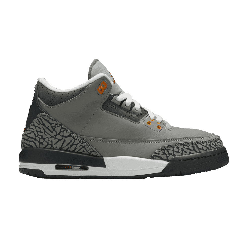 Air Jordan 3 Retro GS Cool Grey 2021 - Air Jordan Sneaker