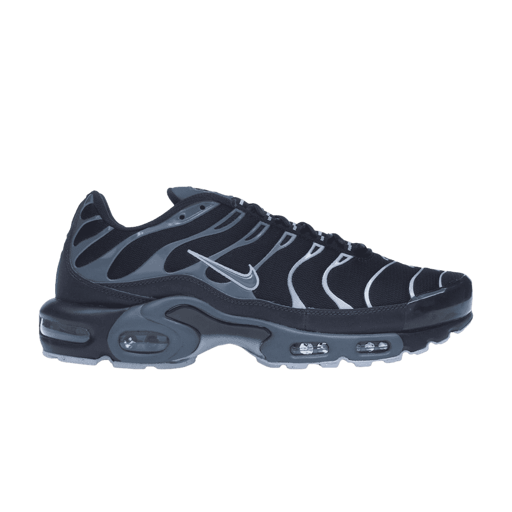 Nike Air Max Plus Obsidian Aluminum