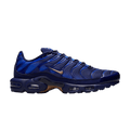 Nike Air Max Plus French Football Federation - Nike Sneaker